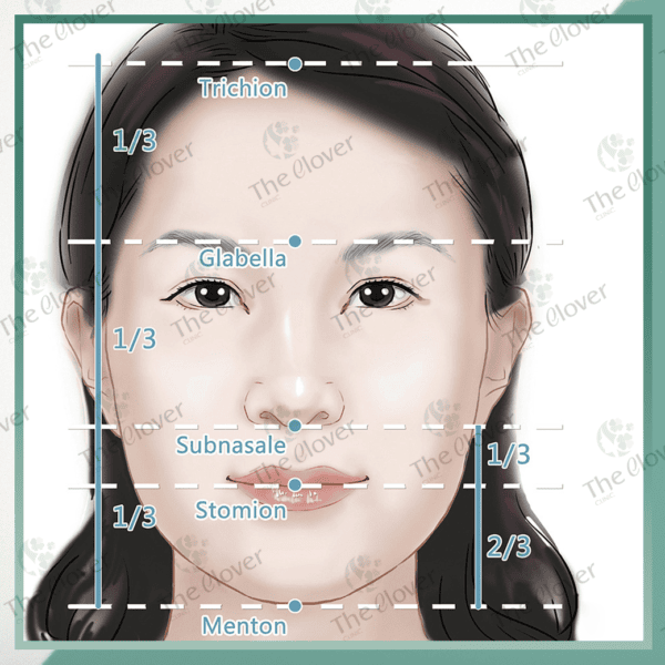 Golden ratio Face