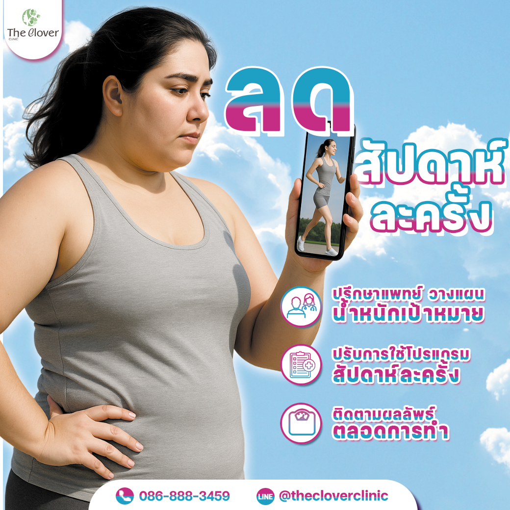 โปรแกรม ลดน้ำหนัก Wego