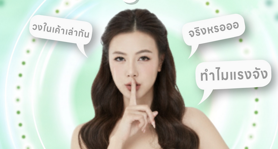 โปรแกรมฟิลเลอร์